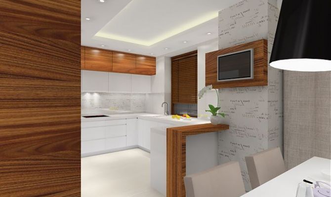 Projekt przytulnego apartamentu z dodatkiem naturalnego kamienia oraz szklaną przesłoną oddzielającą salon od holu. Na filarze dekoracyjny 